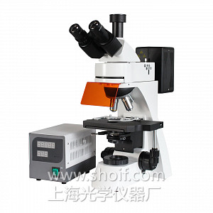 LW300LFT 三目落射荧光显微镜