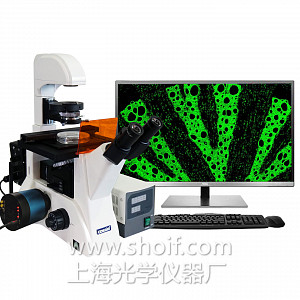 XS-43C 三目倒置荧光显微镜