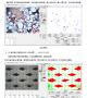 岩相岩石专用图像分析软件