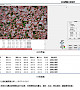 岩相岩石专用图像分析软件