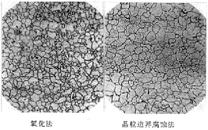 20CrMo钢奥氏体晶粒大小100倍