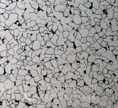 低碳钢铁素体显微组织