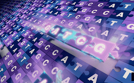 科学家们终于对完整的人类基因组进行了测序——并揭示了新的遗传秘密