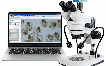 VMS205A三目双侧光源体视显微镜