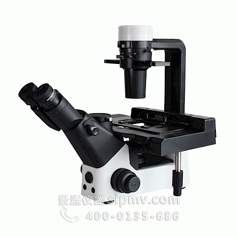 VMB600PH科研级三目倒置相衬生物显微镜看细胞