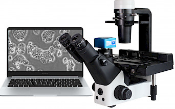 VMB600PH科研级三目倒置相衬生物显微镜