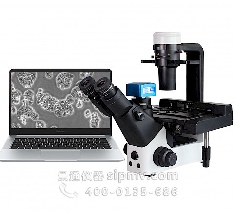 VMB600PH科研级三目倒置相衬生物显微镜看细胞