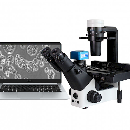 VMB600PH科研级三目倒置相衬生物显微镜看细胞