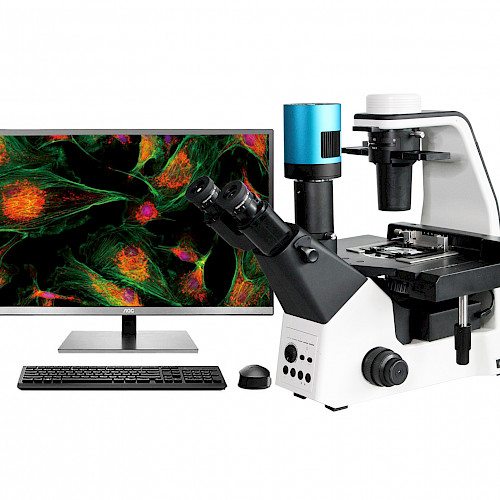 VMF500I科研级三目倒置荧光显微镜培养瓶培养皿细胞观察